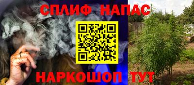 шишки Апшеронск
