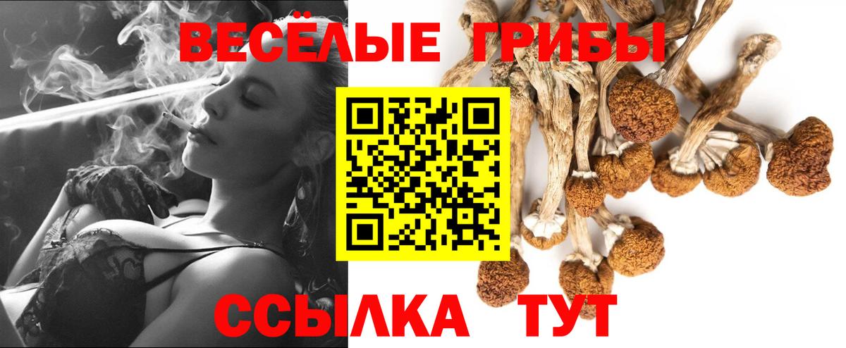 Галлюциногенные грибы мицелий  Псилоцибиновые грибы мицелий  Вход с VPN  Белорецк 